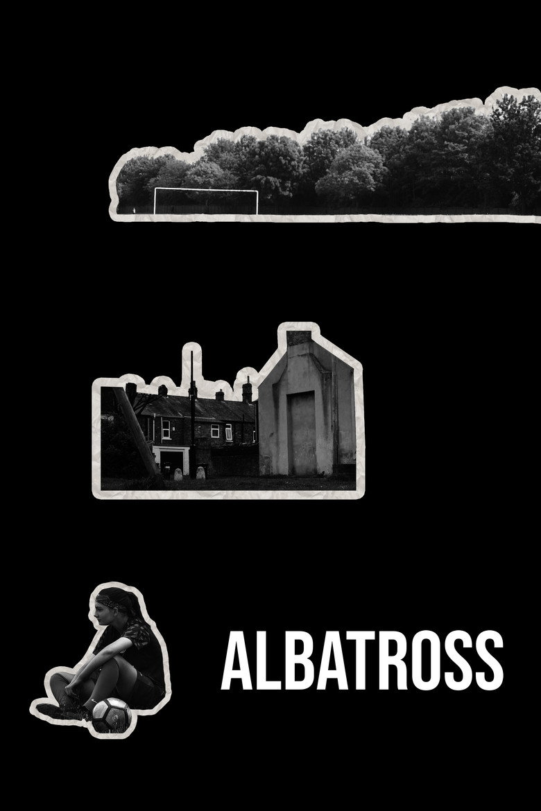 Albatross poster background