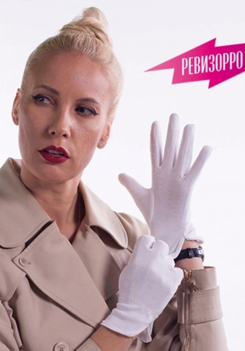 Revizorro poster background