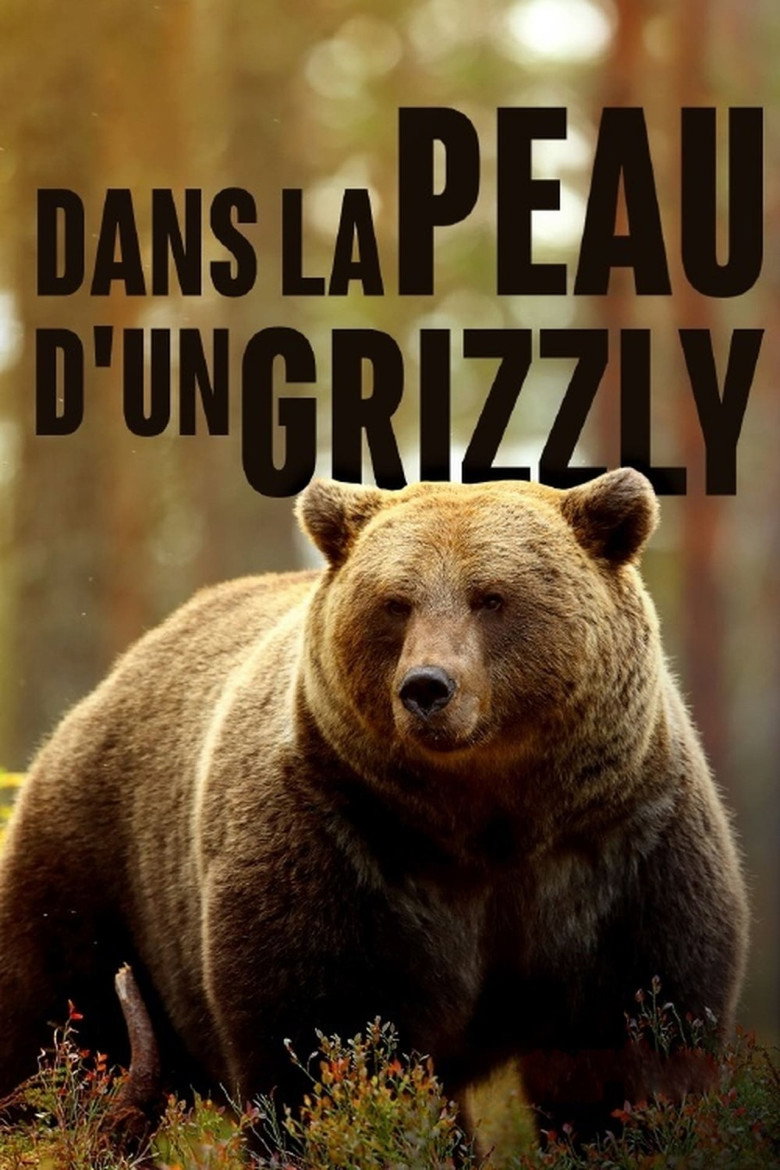 Grizzlys hautnah poster background