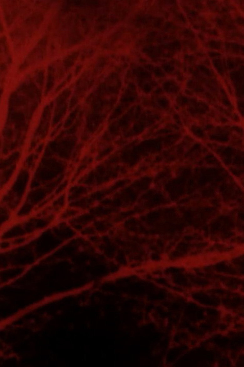 Bad Blood poster background