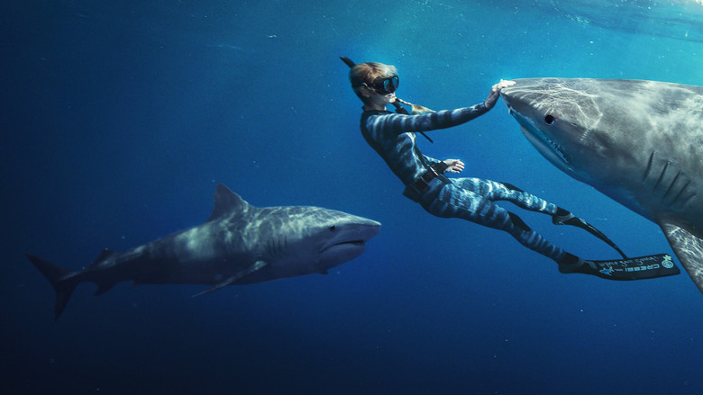A great white shark glides through deep blue water, its sleek body illuminated by sunlight filtering from above.