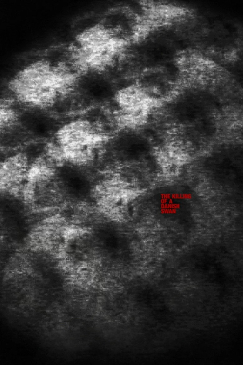 The Killing of a Danish Swan poster background