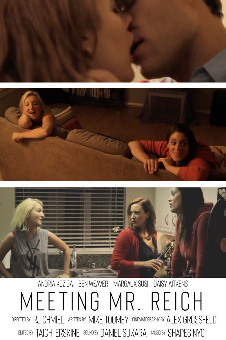 Meeting Mr. Reich poster background