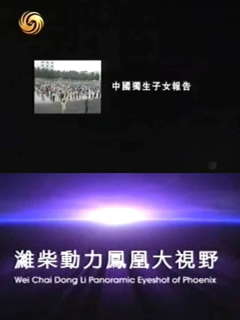 凤凰大视野：中国独生子女报告 poster background