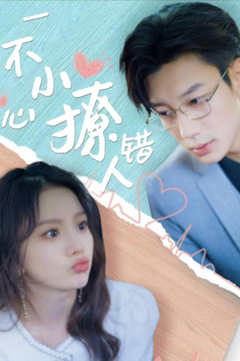 一不小心撩错人 poster background