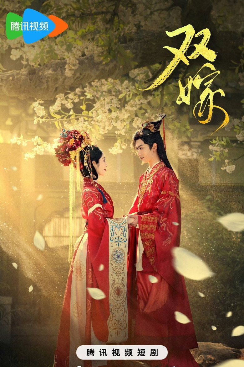 双嫁 poster background