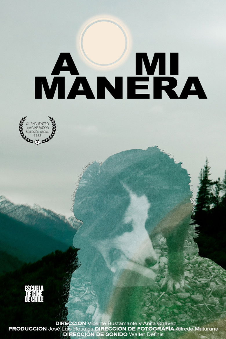A Mi Manera poster background