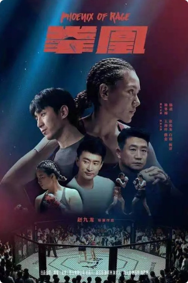 拳凰 poster background