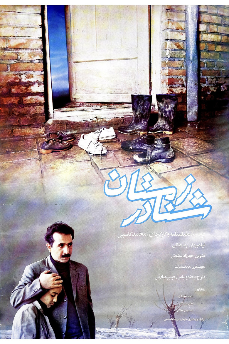 Swimming in The Winter poster background