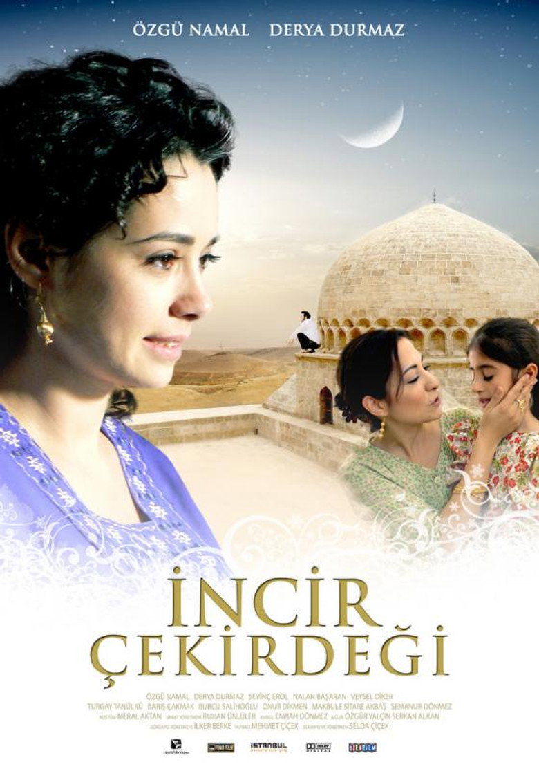 İncir Çekirdeği poster background