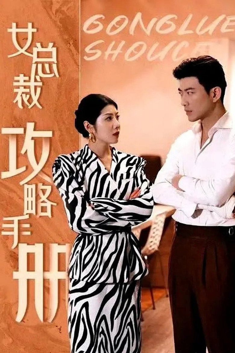 女总裁攻略手册 poster background