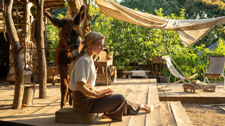 Tension among the settlers