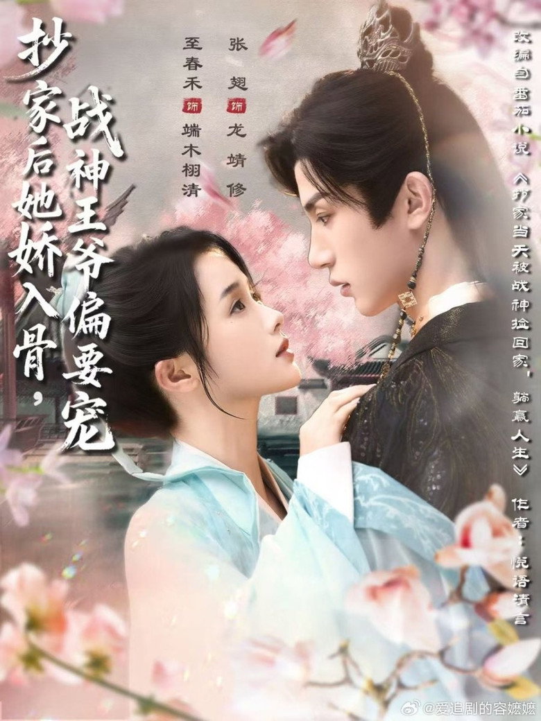 抄家后她娇入骨，战神王爷偏要宠 poster background