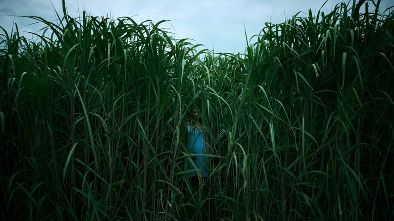A figure stumbles through a sea of grass, the blades swallowing their legs as the sky darkens overhead.