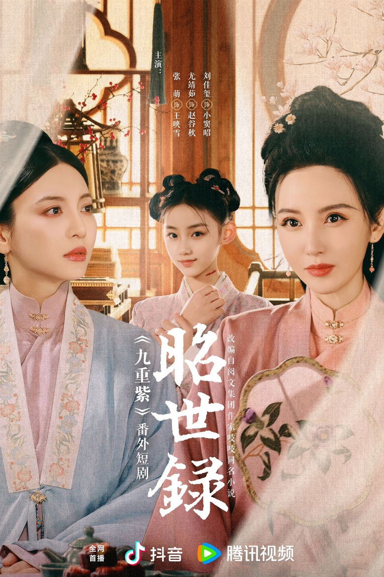 Zhao Shi Lu poster background