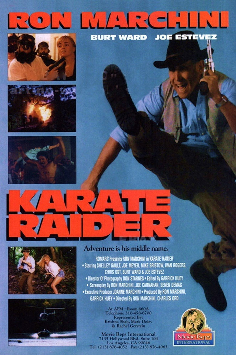 Karate Raider poster background