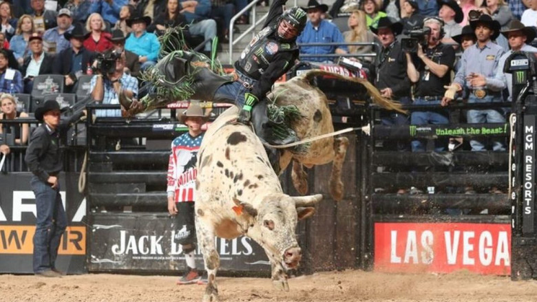 A bull rider mid-air, body arched backward as the bull bucks beneath him, dust swirling in the arena lights.
