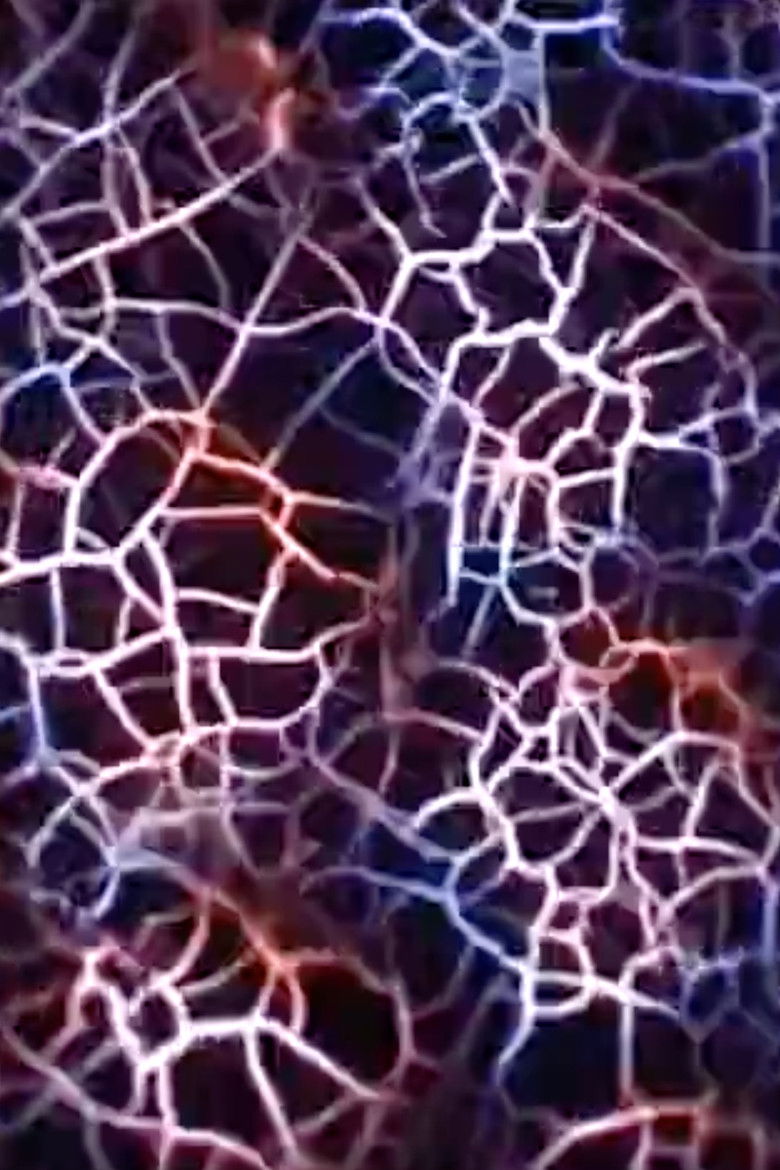 Compound Eye poster background