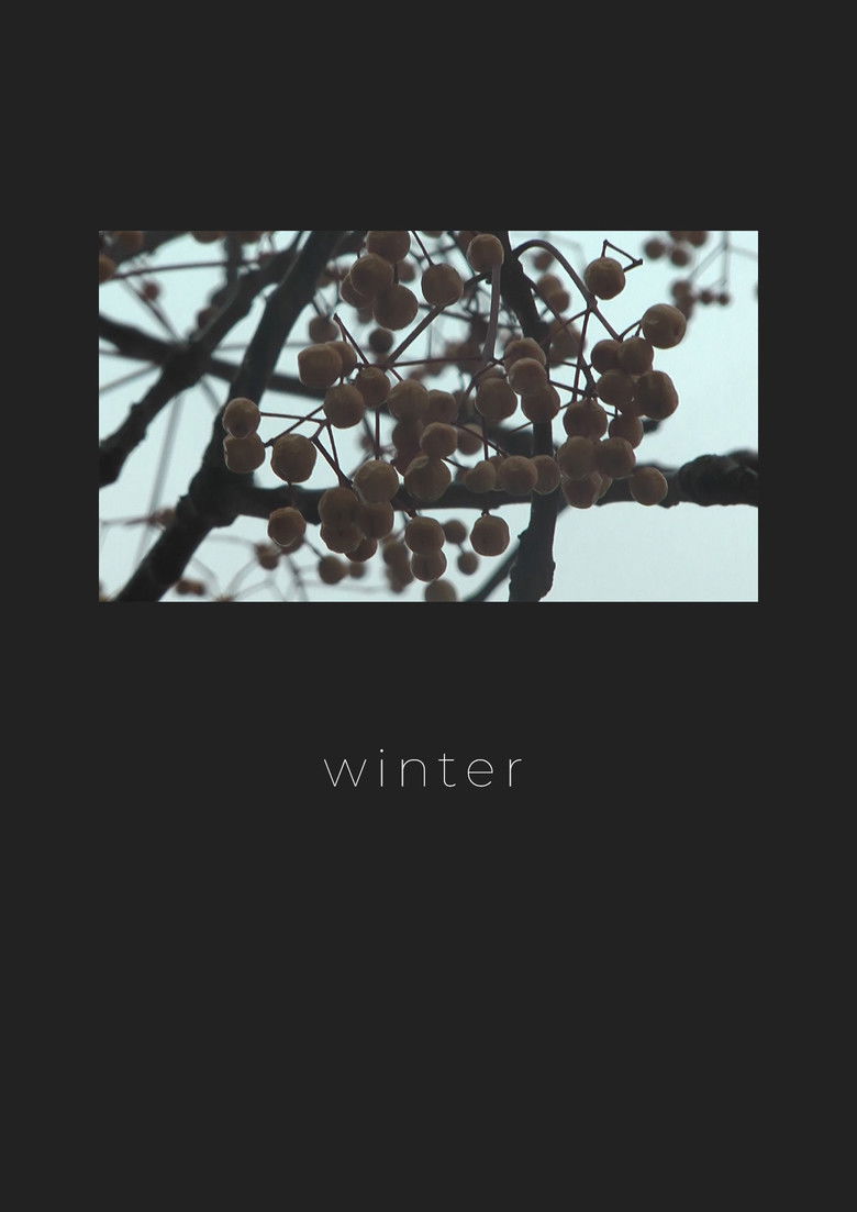 Winter poster background