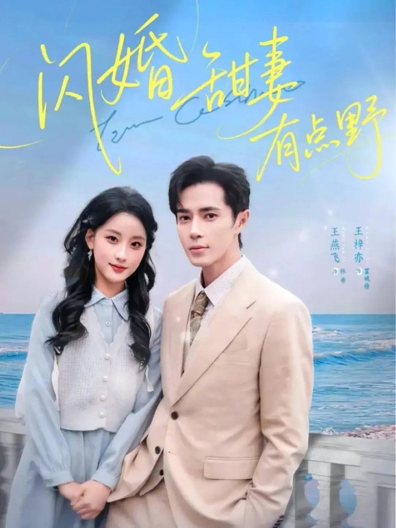 闪婚甜妻有点野 poster background