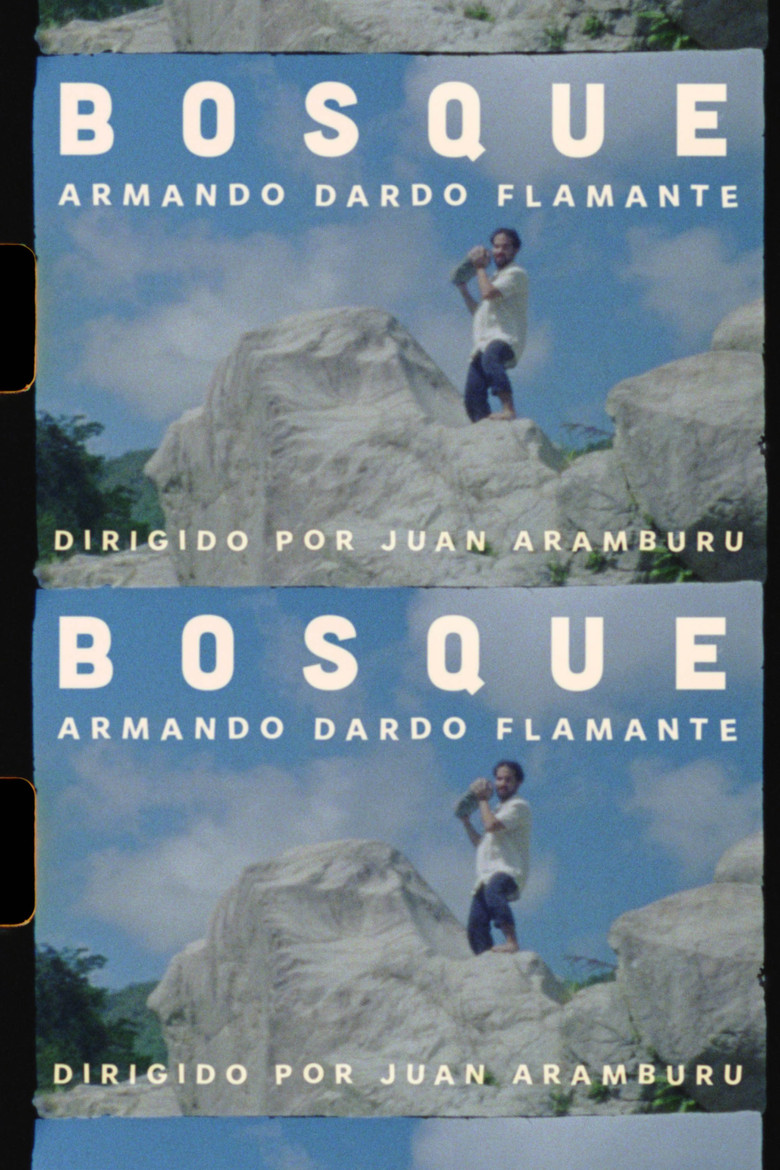 BOSQUE poster background
