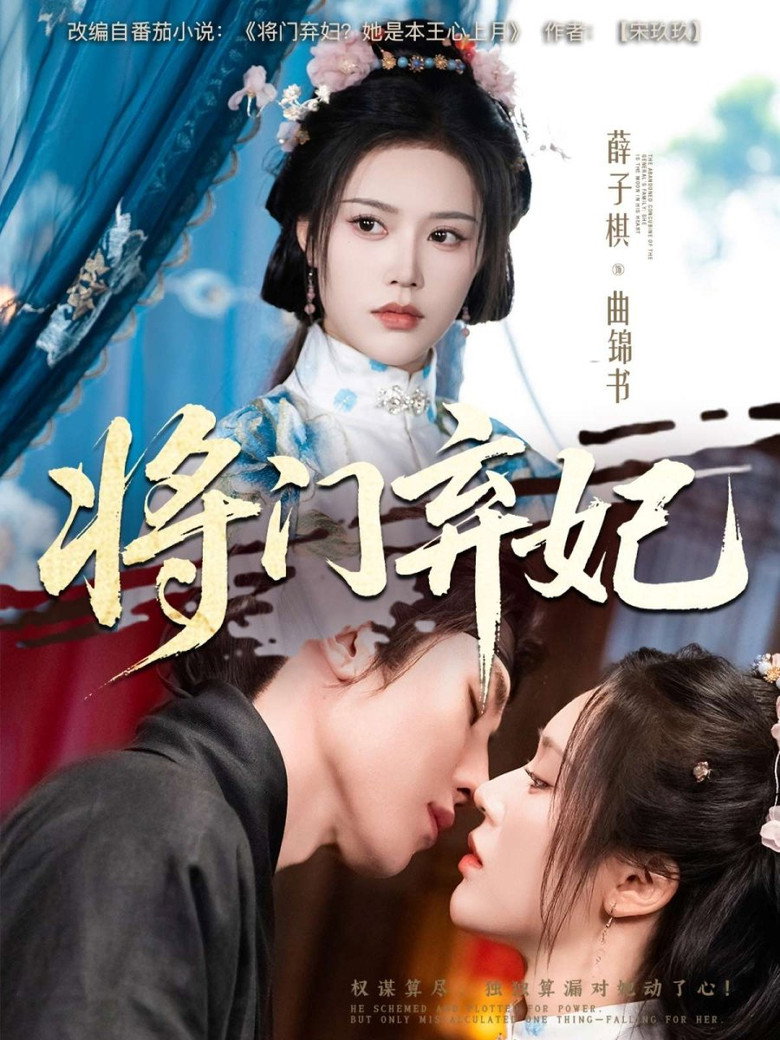 将门弃妃 poster background