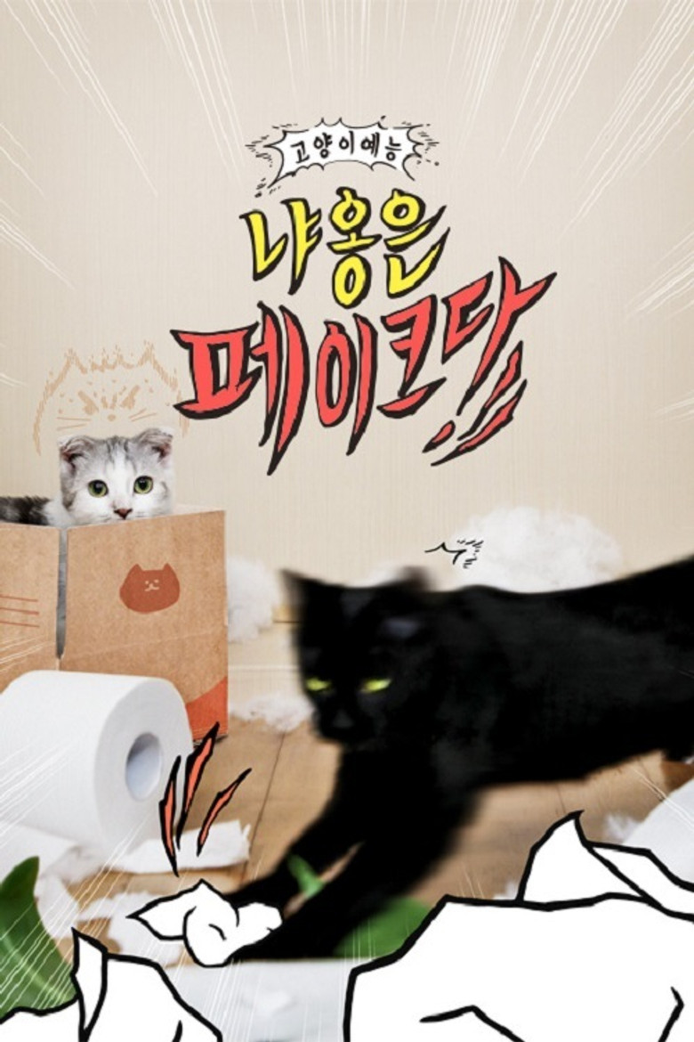 Decoding Meow poster background