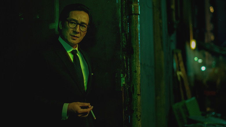 The multiverse fracturing