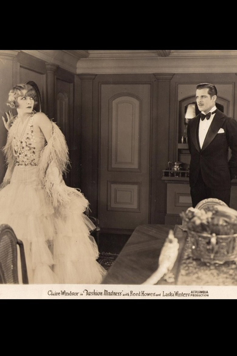 Fashion Madness poster background