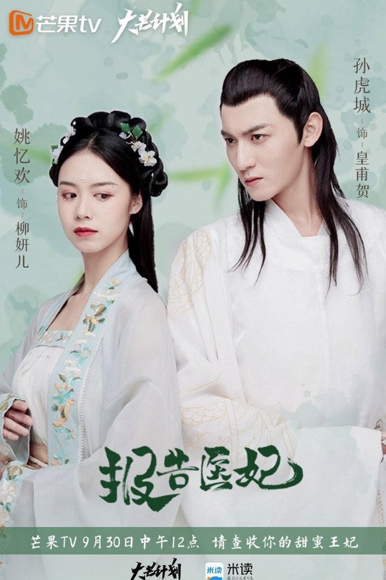 Doctor Princess poster background