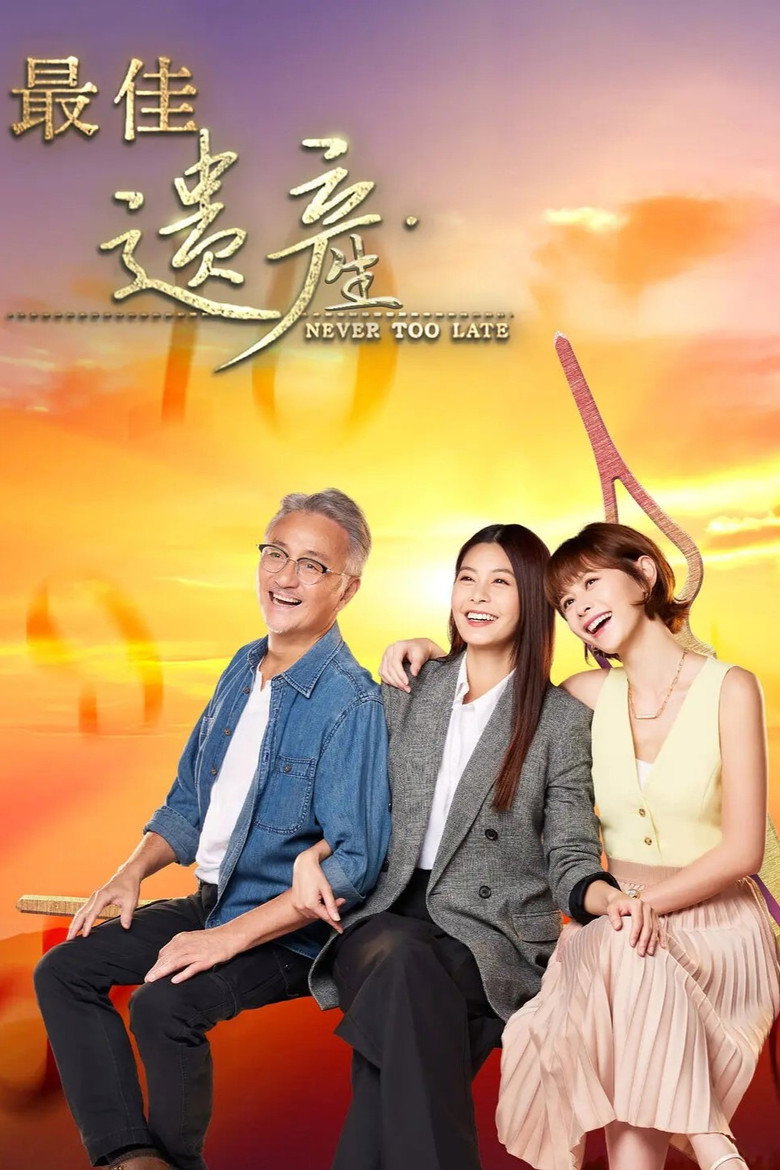Never Too Late poster background