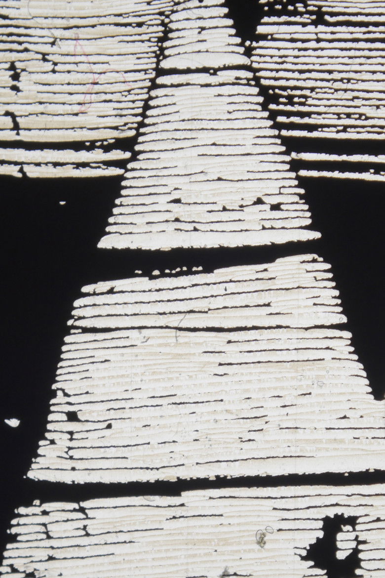 In Film/On Video poster background