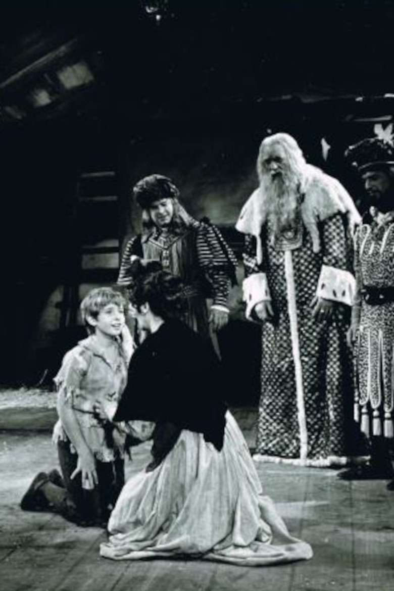 Matinee Theater poster background