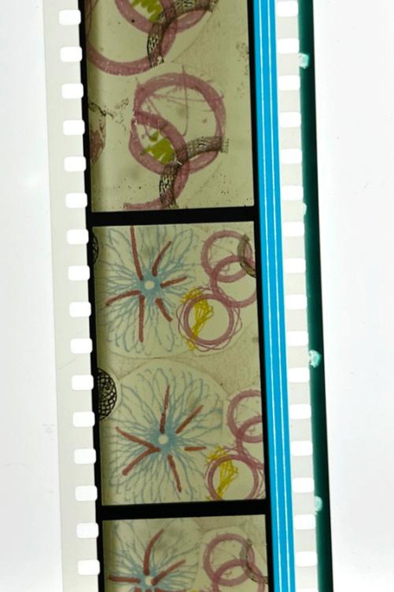 Color Me poster background