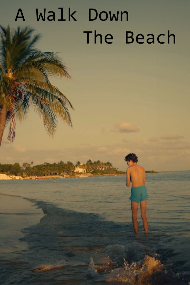 A Walk Down The Beach poster background