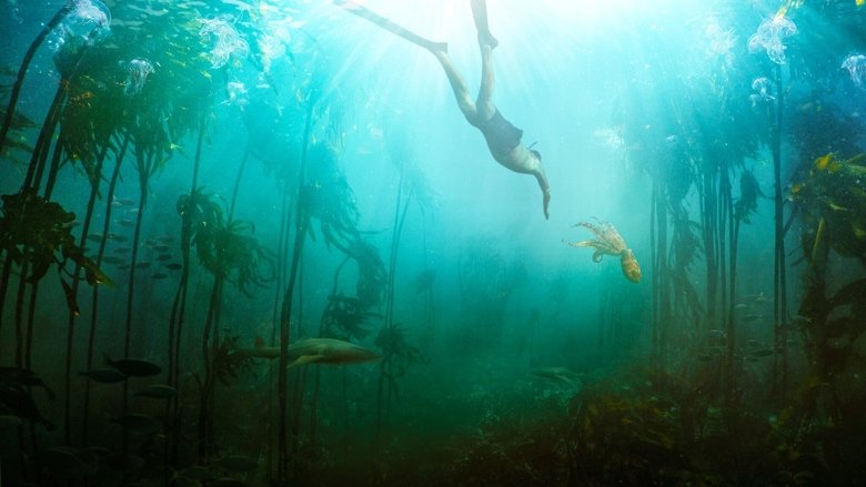 A diver's hand hovers near an octopus in a kelp forest, the creature's tentacles curled in cautious curiosity