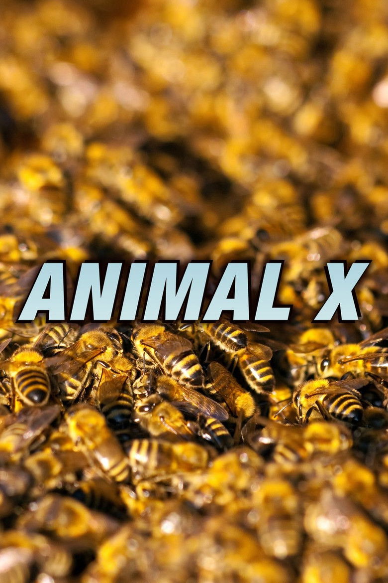 Animal X poster background