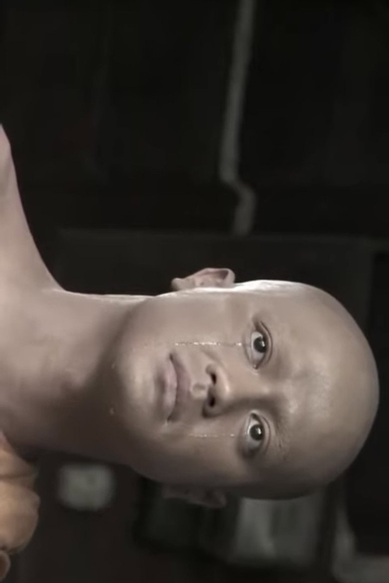 The Temptation poster background