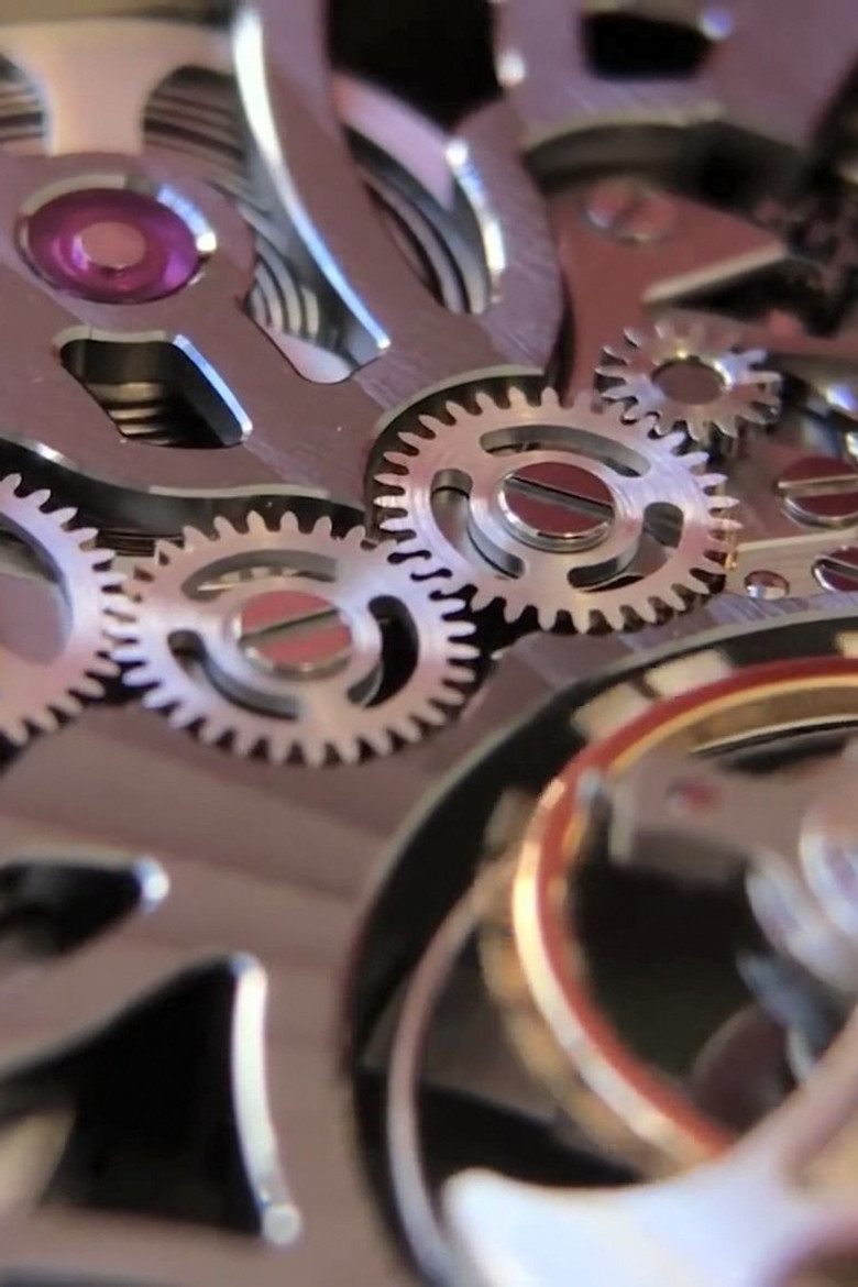 Soft Animal Body poster background