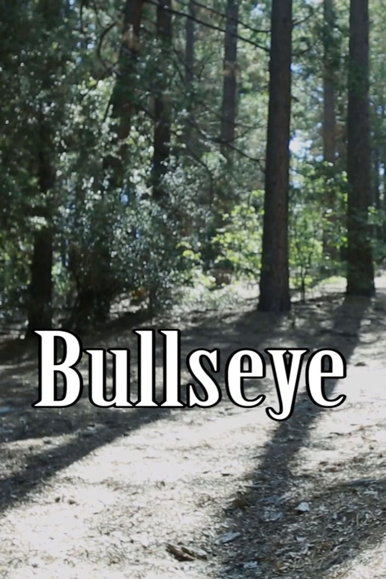 Bullseye poster background