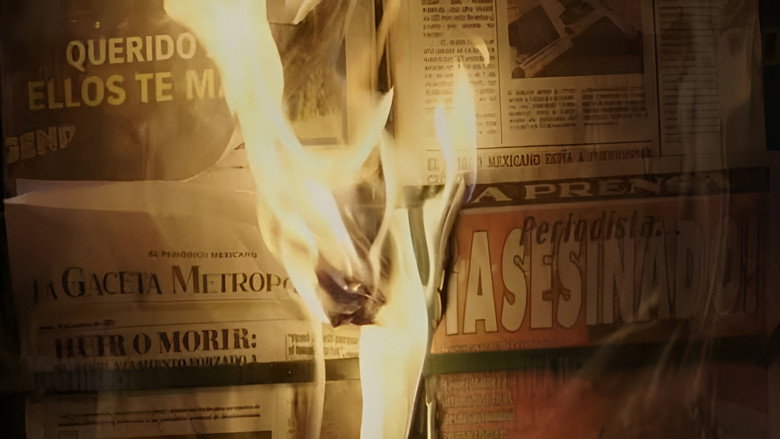 A charred newsstand, its shelves empty, symbolizing the silencing of the press