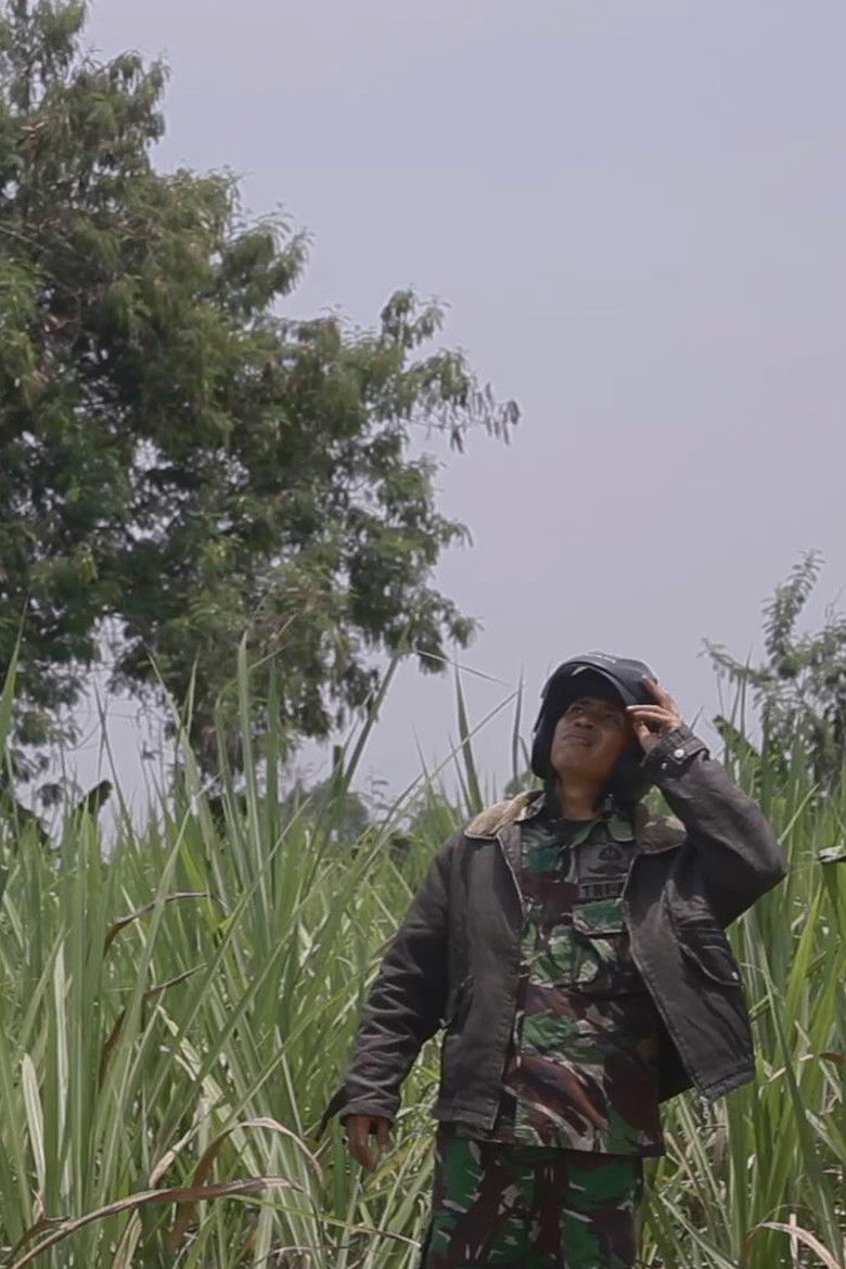 The Travelling Period poster background