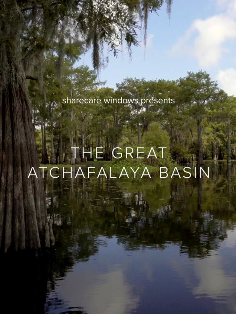 The Great Atchafalaya Basin poster background