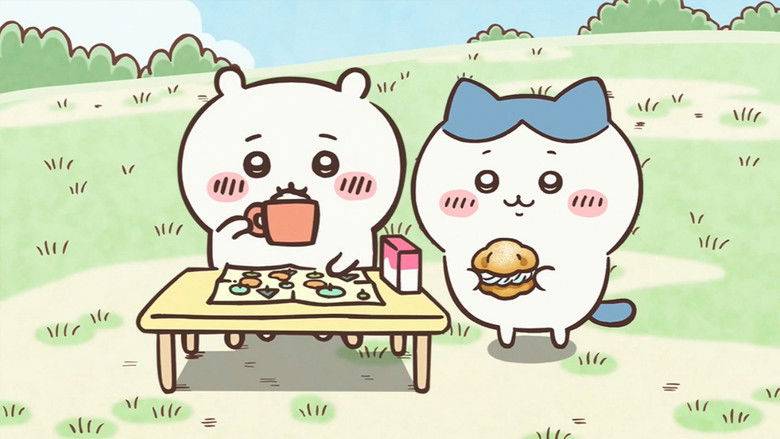 The vastness of the world