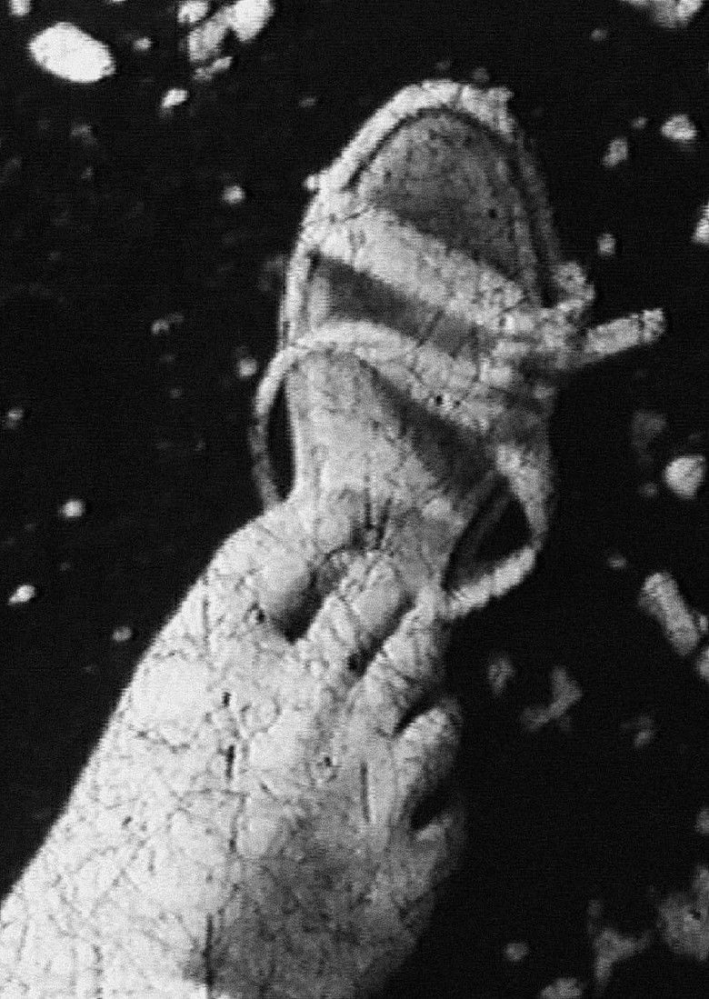 Junk poster background