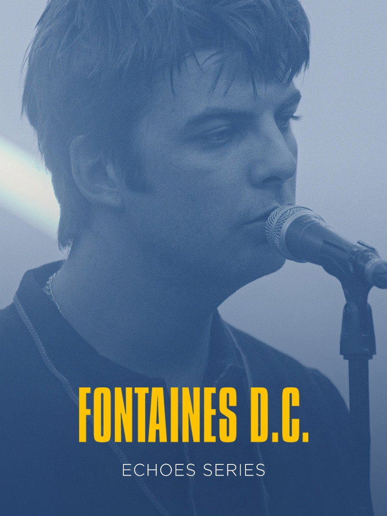 Echoes Series - Fontaines DC poster background