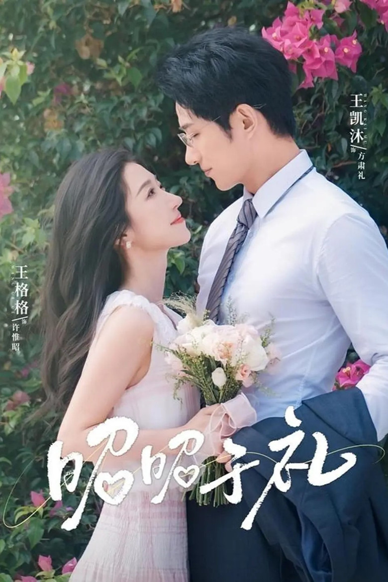 昭昭于礼 poster background