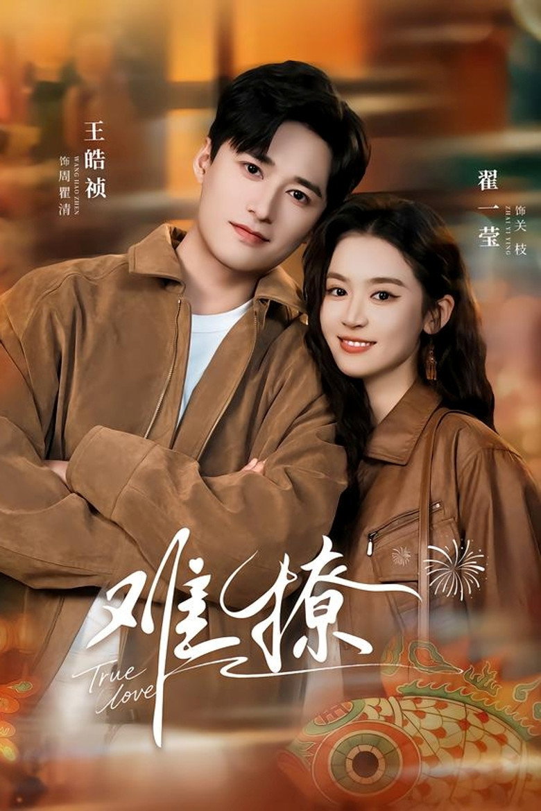 难撩 poster background