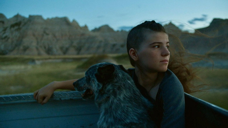 A group of women sit around a campfire at dusk, their faces illuminated by the flickering light.