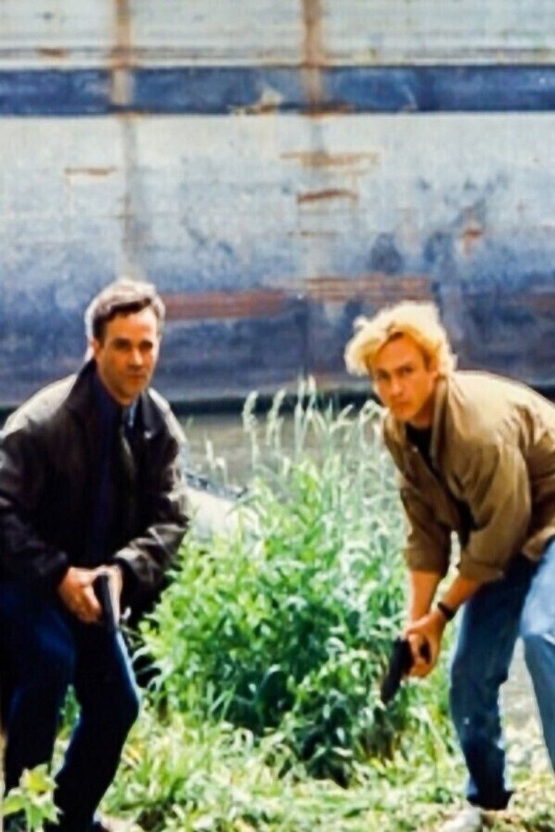 Kats & Co poster background